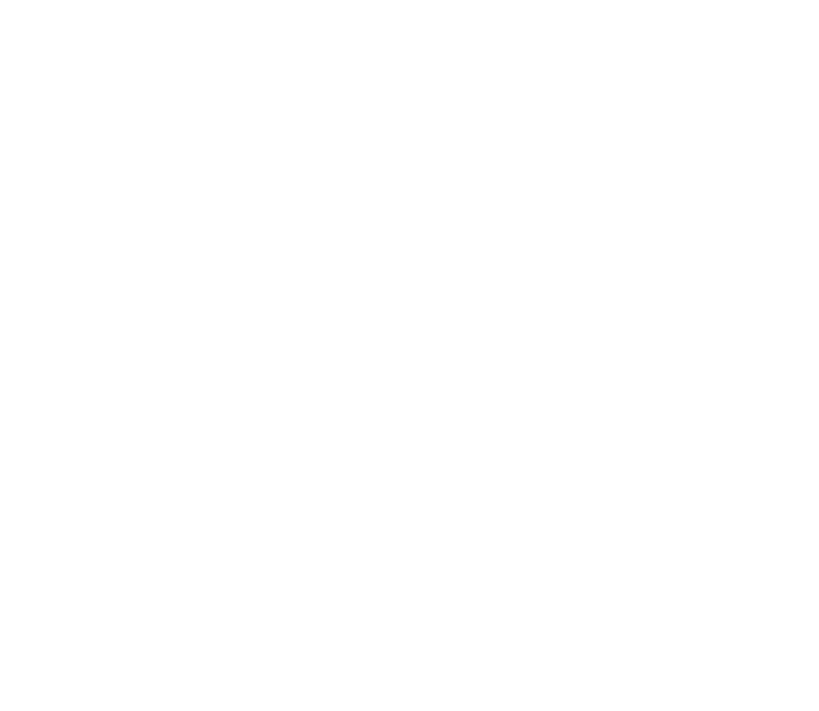 Martín Fierro