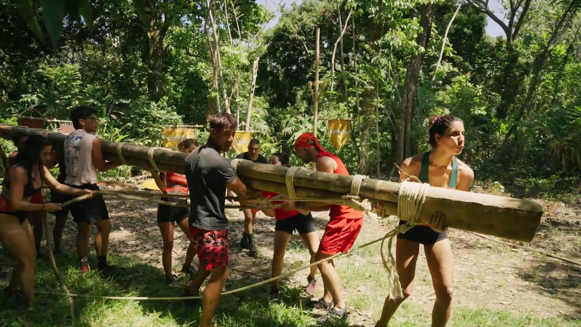 Survivor — juego